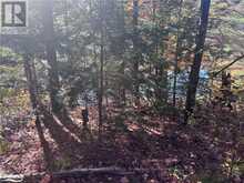 LOT 5 N/A Algonquin Highlands