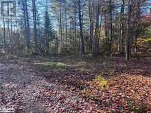 LOT 4 N/A Haliburton