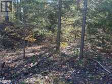 LOT 3 N/A Algonquin Highlands