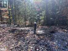 LOT 3 N/A Algonquin Highlands