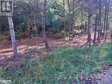 LOT 2 N/A Algonquin Highlands