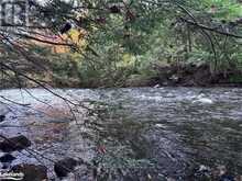 LOT 13 N/A Algonquin Highlands