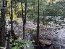 LOT 13 N/A Algonquin Highlands