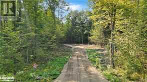 LOT 12 N/A Algonquin Highlands