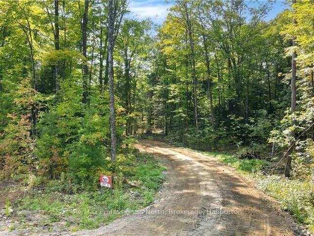 LOT 11 N/A Algonquin Highlands Ontario