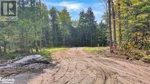 LOT 17 N/A Algonquin Highlands