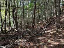 LOT 16 N/A Algonquin Highlands