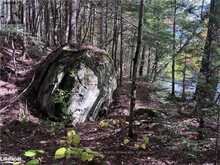 LOT 15 N/A Algonquin Highlands