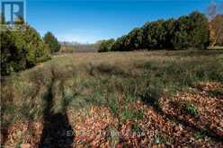 264011 SIDEROAD 24 Meaford