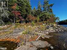 81 AMORAK Trail Whitestone