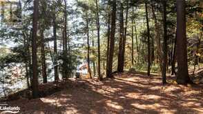 81 AMORAK Trail Whitestone