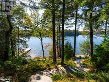 27 PLAYFAIR ISLAND Seguin