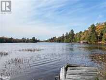 0 CHIKOPI Road Magnetawan