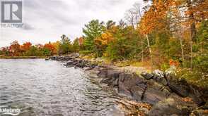 471 NORTH SHORE RD Georgian Bay