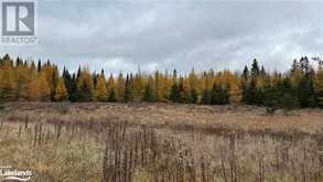 LOT 3 HILL AND GULLY Road Burks Falls