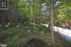 0 FRED JONES Road Haliburton