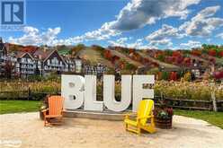 303 - 220 GORD CANNING DRIVE The Blue Mountains