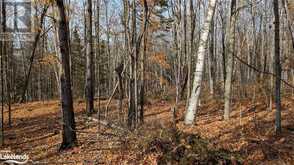 LOT 2 TALLY HO WINTER PARK Road Lake of Bays