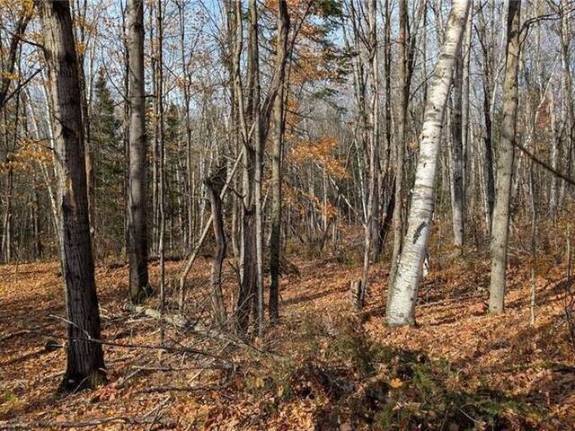 LOT 2 TALLY HO WINTER PARK Road Lake of Bays Ontario