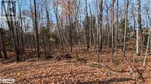 LOT 1 TALLY HO WINTER PARK Road Lake of Bays