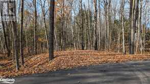 LOT 1 TALLY HO WINTER PARK Road Lake of Bays