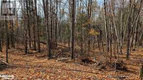 LOT 1 TALLY HO WINTER PARK Road Lake of Bays