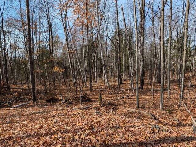 LOT 1 TALLY HO WINTER PARK Road Lake of Bays Ontario