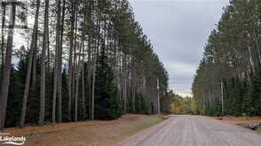 2 RED PINE Trail Bracebridge