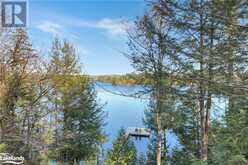 1171 STRAGGLE LAKE Drive Harcourt