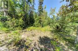 LOT 55 55TH Street S Wasaga Beach