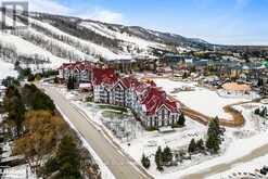 315 - 220 GORD CANNING DRIVE DRIVE The Blue Mountains