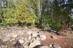 0 CLIVE Trail Haliburton