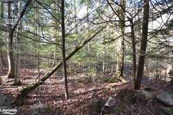 0 CLIVE Trail Haliburton