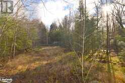 0 CLIVE Trail Haliburton