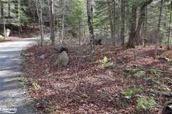 0 CLIVE Trail Haliburton