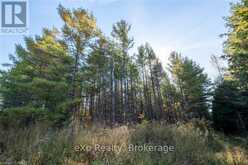 LOT 25 CONCESSION ROAD 10 West Grey