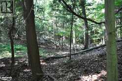 LOT 21 BAYSHORE ROAD Meaford