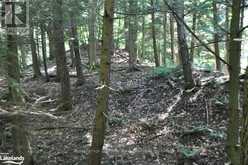 LOT 21 BAYSHORE ROAD Meaford