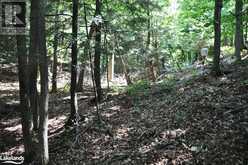 LOT 21 BAYSHORE ROAD Meaford