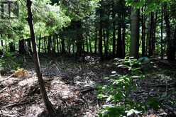 LOT 21 BAYSHORE ROAD Meaford