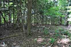 LOT 21 BAYSHORE ROAD Meaford