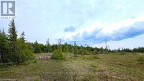 132 BRADLEY DRIVE Northern Bruce Peninsula