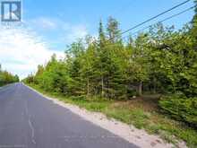 LT31-32 BIG TUB ROAD Northern Bruce Peninsula