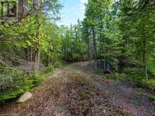 LT31-32 BIG TUB ROAD Northern Bruce Peninsula