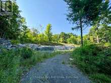 1681 MUSKOKA BEACH ROAD Bracebridge 