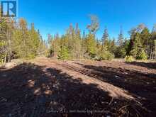 155 BRADLEY DRIVE Northern Bruce Peninsula