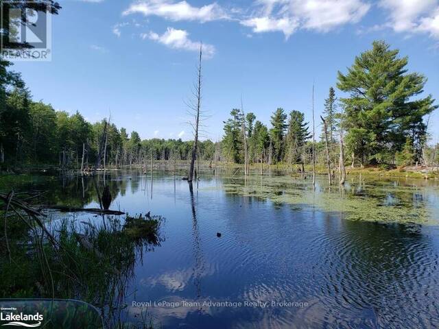 0 UNOPENED ROAD ALLOWANCE McKellar Ontario