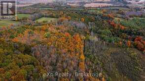 084482 6 SIDE ROAD Meaford