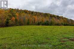 084482 6 SIDE ROAD Meaford