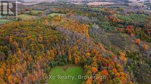 084482 6 SIDE ROAD Meaford